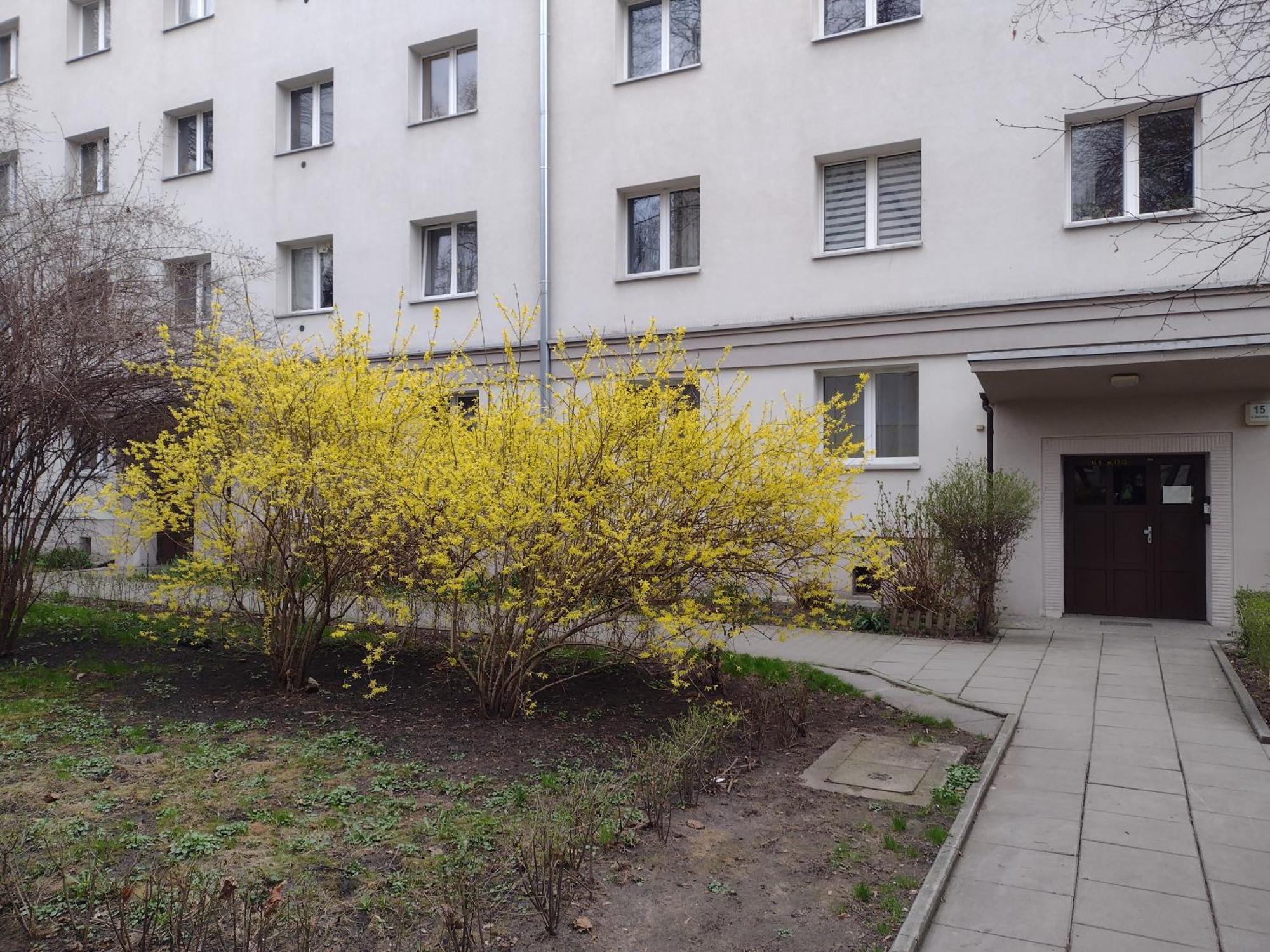 Cracowapart Ignacio B Apartment Krakau